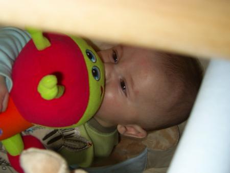 j'ai craqu� pour ma chenille