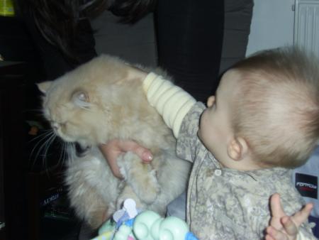 rencontre animale...